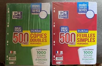 Lot copies doubles / feuilles simples