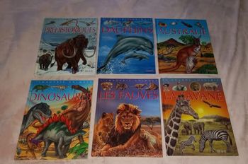 Lot 6 livres la grande imagerie