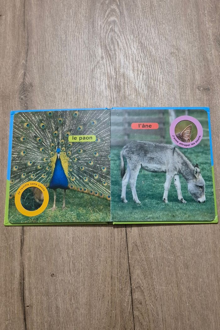 Livre Coucou la poule - photo numéro 6