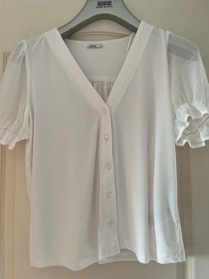 Chemisier - photo numéro 2