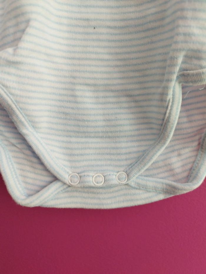 Body b1 - photo numéro 3