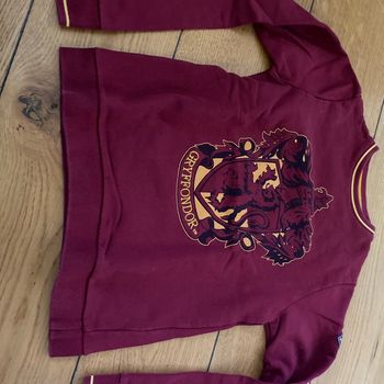 Pull Harry Potter