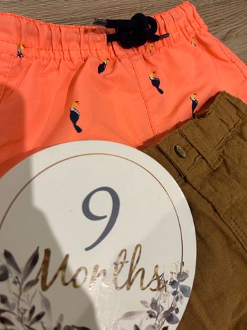Lot 2 short 