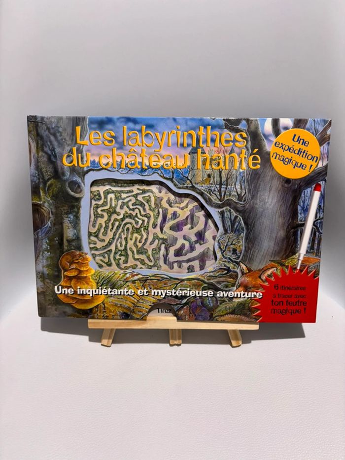 Livre Les Labyrinthes du Château hanté
