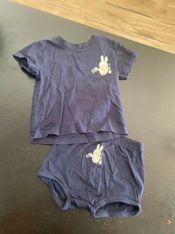 Ensemble Miffy