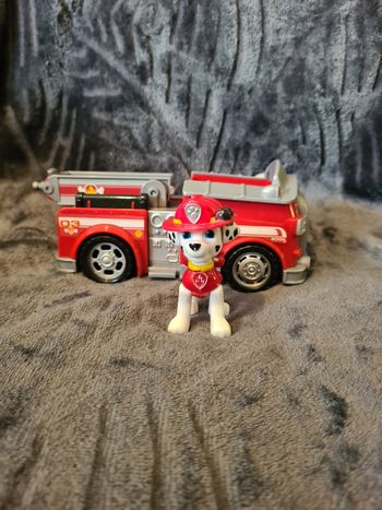 Marcus pat patrouille 