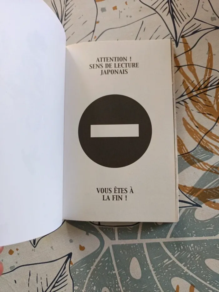 Radiant - photo numéro 4