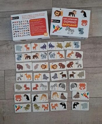 Mon premier domino 