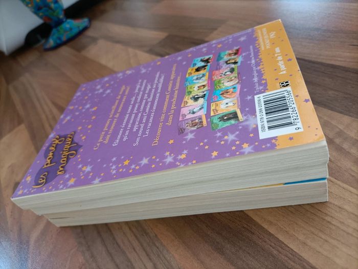 Lot 4 livres les poneys magiques 1,2,3 et 6 - photo numéro 6