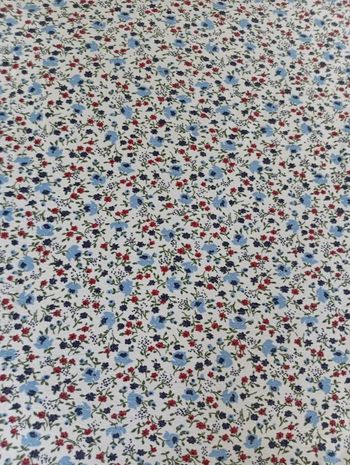 Très beau t-shirt de qualité ,marque scottage