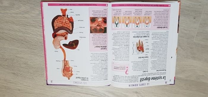 Livre "L'atlas des juniors" sur le corps humain - photo numéro 5