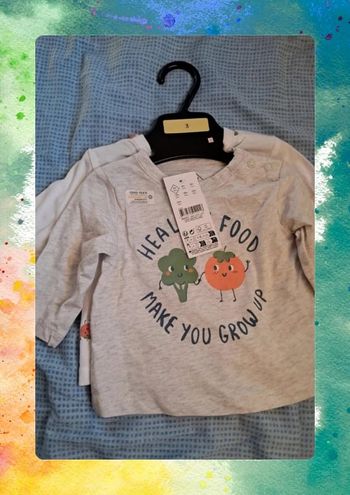 Lot de 2 t-shirts manches longues taille 3 mois