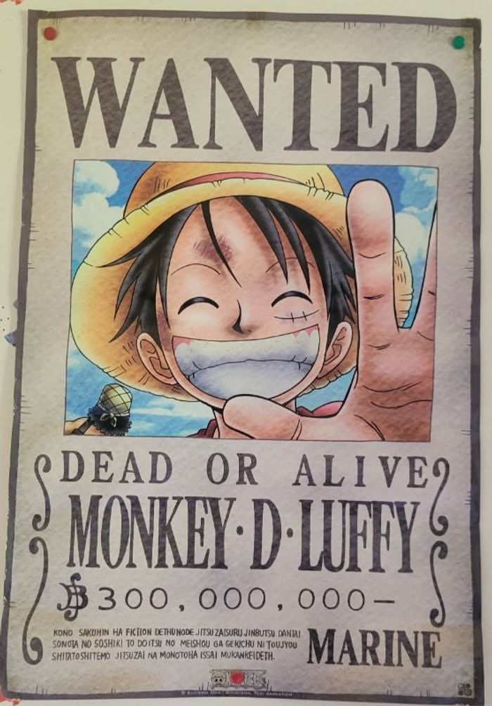 Poster one piece