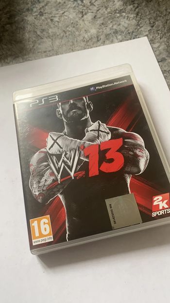 W13 ps3