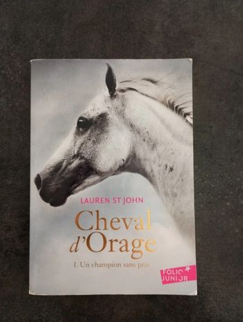 Livre Cheval d'orage tome 1