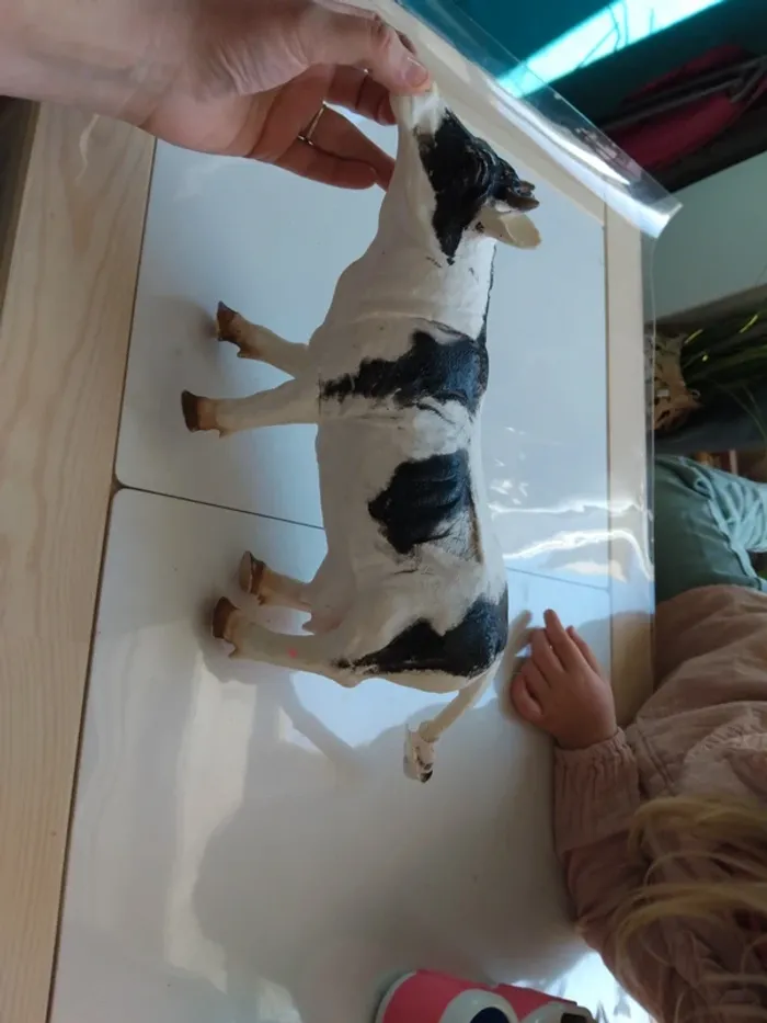 Vache