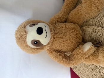 Peluche paresseux BLANCHE PORTE