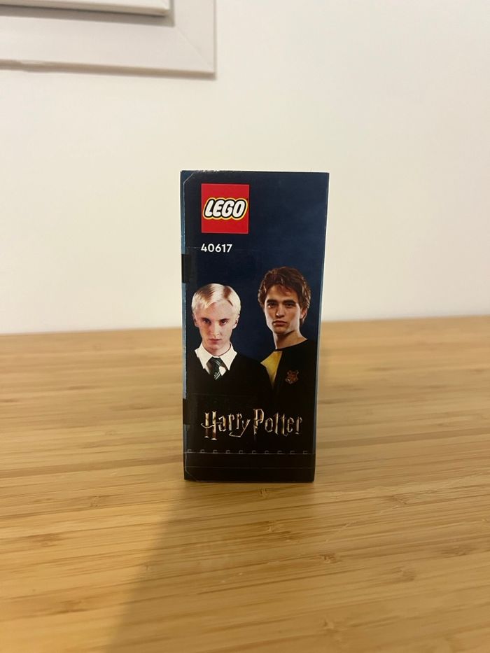 Draco Malfoy et Cédric Diggory - Set Lego 40617 - photo numéro 3