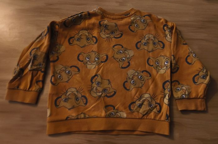 pull Disney simba - photo numéro 2