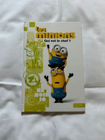Livre Les minions : Qui est le chef ?