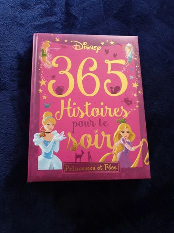 Livre 365 histoires pour le soir Princesses et fées