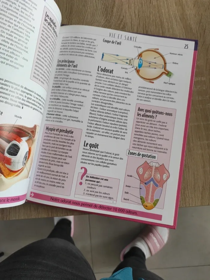 Livre le corps humain - photo numéro 4