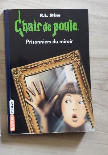 Chair de poule