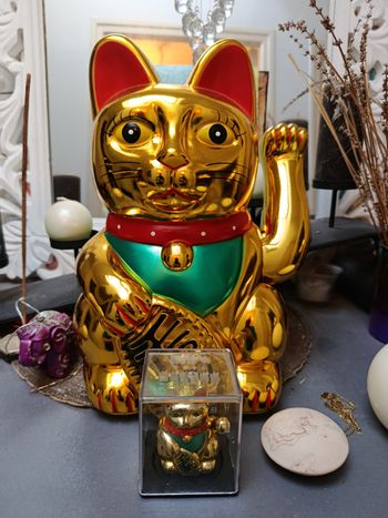 Très grand chat chanceux