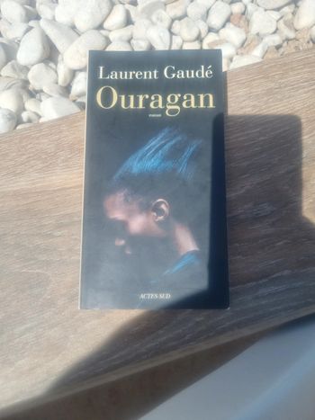 Roman Ouragan Actes Sud