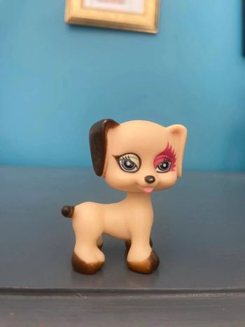 Chien wonderkids - Mon Petit Compagnon