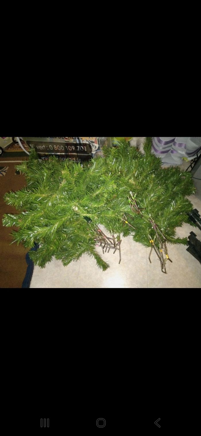 Sapin de Noël - photo numéro 5