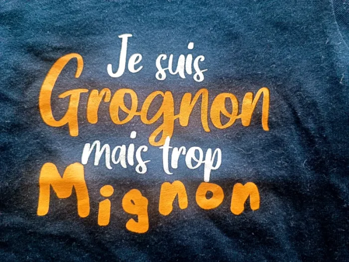 Lot t shirt manches longues 6 mois - photo numéro 16