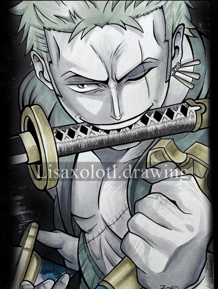 Poster Zoro - photo numéro 2
