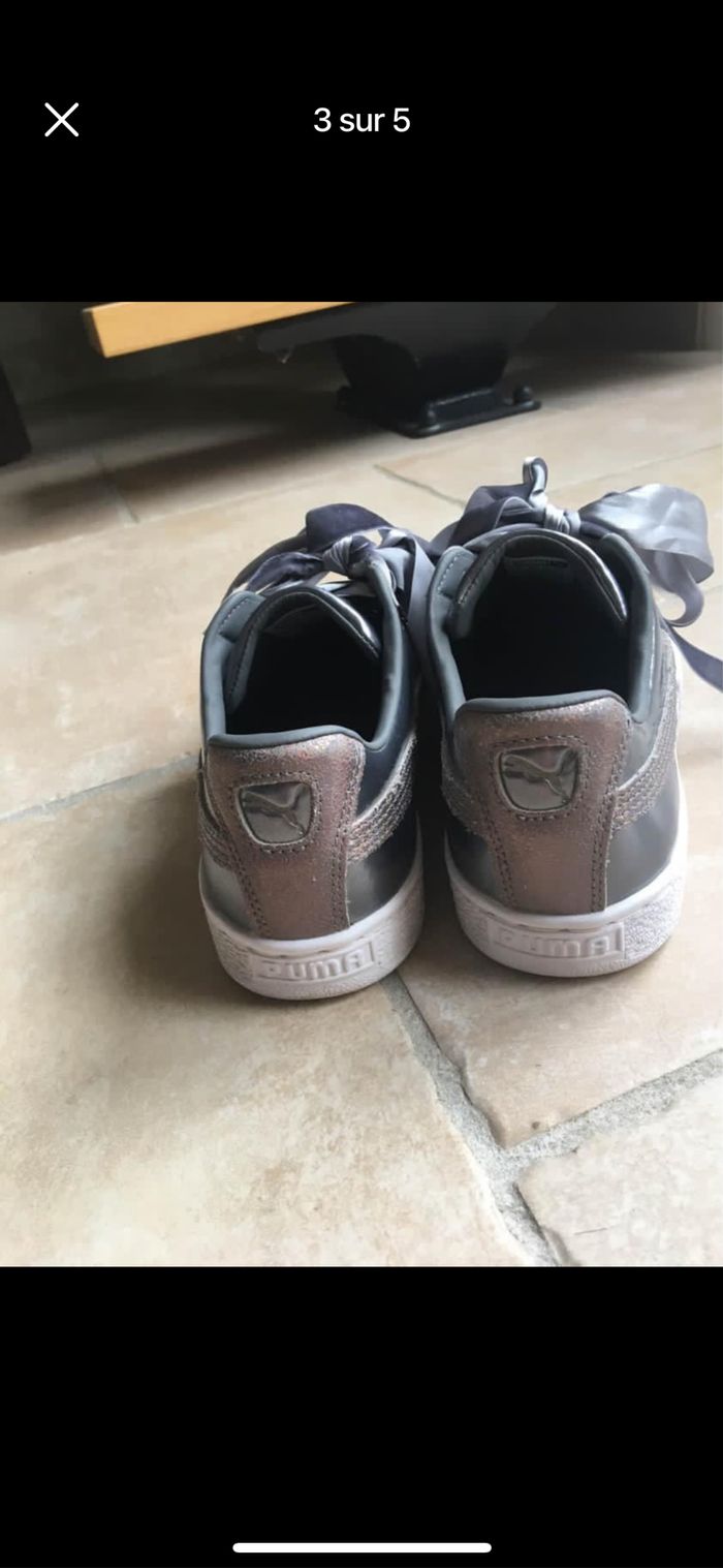 Puma argenté - photo numéro 2