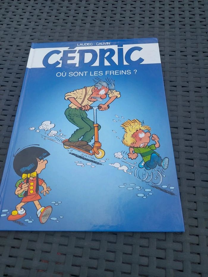 Bd cédric - photo numéro 2
