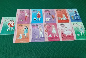 Lot 11 livres Princesse Academy Bibliothèque Rose
