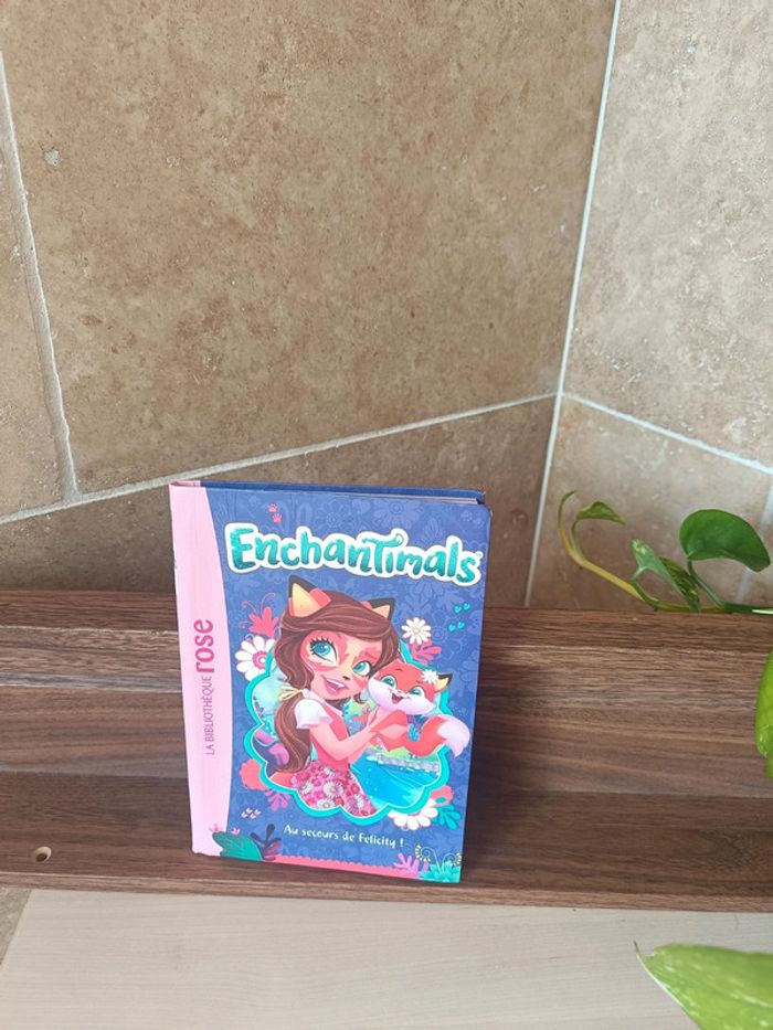 Livre enchantimals - photo numéro 2