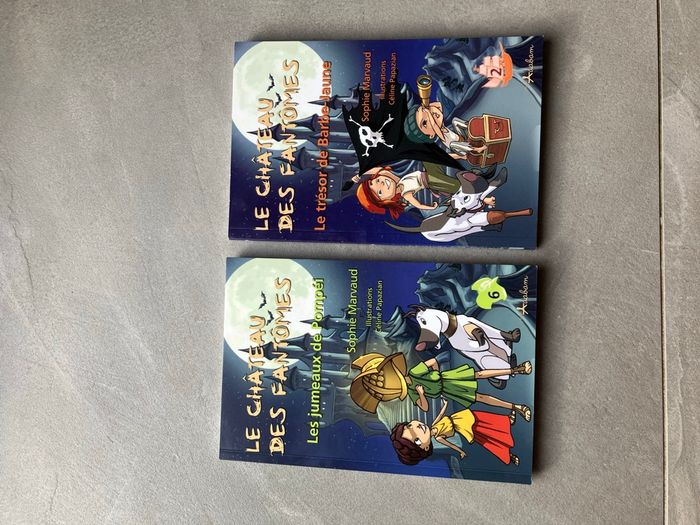 Lot de 2 livres château des fantômes
