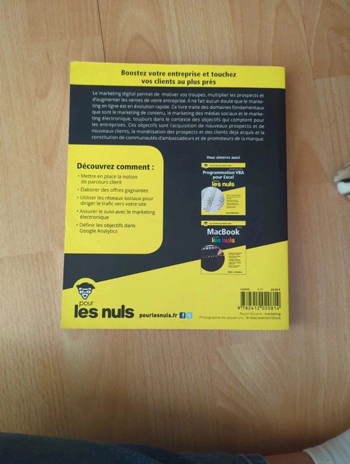 Le marketing digital pour les nuls - photo numéro 2