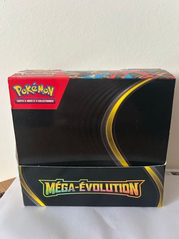 Display Méga-Évolution vide