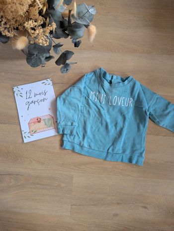 Pull Mes petits cailloux 12 mois Mini Loveur