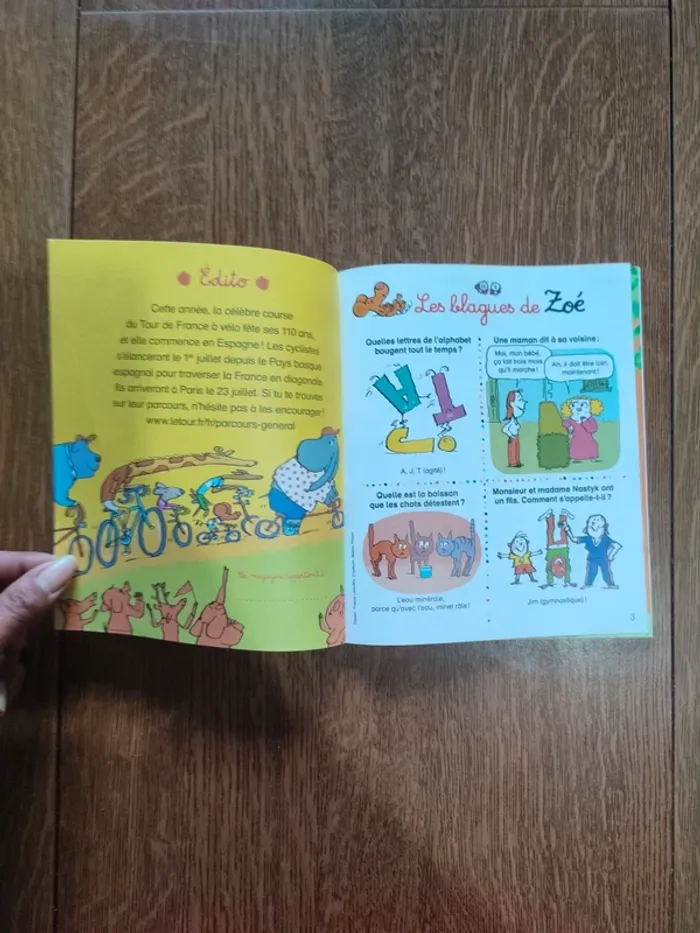 Livre la petite gardienne du phare - photo numéro 5