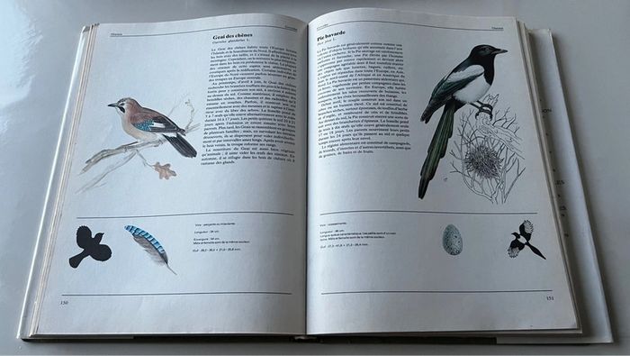 Animaux de tous les pays - photo numéro 3