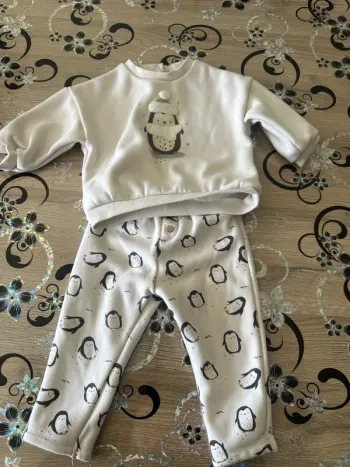 Ensemble pingouin