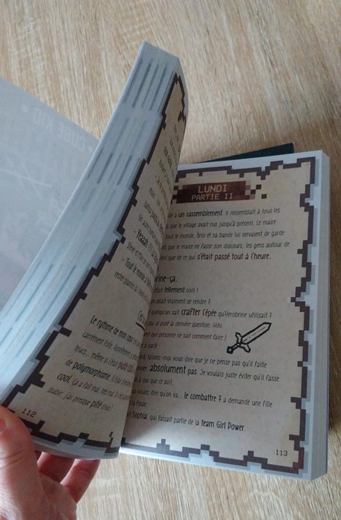 Livres minecraft - photo numéro 8