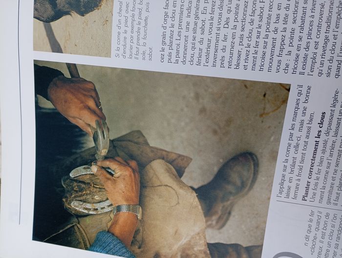 Livre plaisirs et pratiques de l'équitation - photo numéro 6