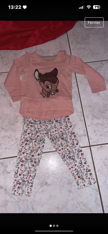Ensemble bambi