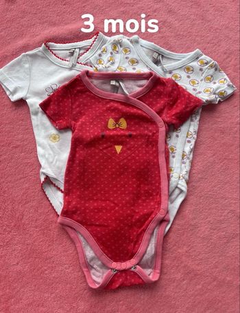 Lot de 3 bodies manches courtes