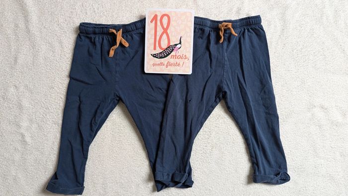 Lot 2 pantalons fins 18 mois