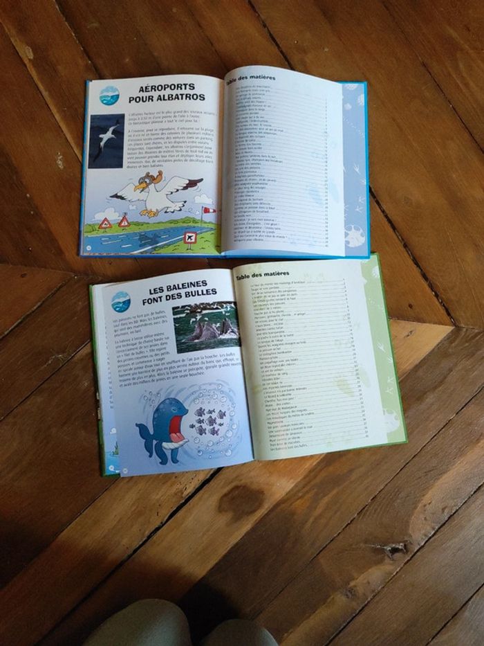 Lot " C'est fou ! " - photo numéro 4